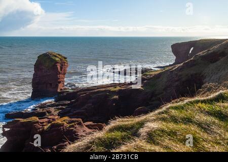 La pile en grès rouge de Deil's Heid (Devils Head), les falaises de Seaton, Arbroath, Angus, Écosse Banque D'Images