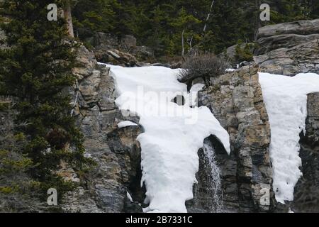 Chutes De Temben Creek Dans Le Parc National Jasper, Alberta, Canada. Banque D'Images