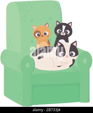 les chats mignons différentes races reposant dans un canapé vert illustration vectorielle de dessin animé Illustration de Vecteur