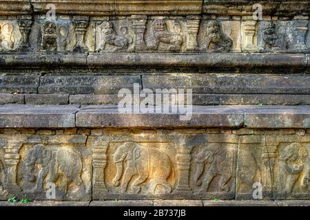 Frise d'éléphants dans la salle d'audience du palais royal de Parakrabahu I à Polonnaruwa, Sri Lanka. Banque D'Images