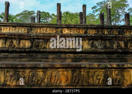 Frise d'éléphants dans la salle d'audience du palais royal de Parakrabahu I à Polonnaruwa, Sri Lanka. Banque D'Images