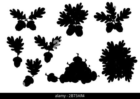 Silhouette noire jeu de feuilles de chêne avec des illustrations vectorielles plates des ornes sur fond blanc. Illustration de Vecteur