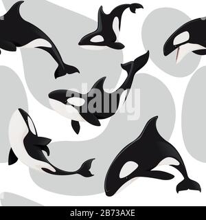 Motif transparent de l'épaulard orca dessin animal dessin vectoriel plat sur fond blanc. Illustration de Vecteur