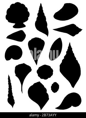 Silhouette noire grande collection de coquillages différents coquilles tropicales illustration vectorielle plate sur fond blanc. Illustration de Vecteur