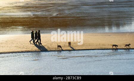 Une image panoramique de personnes marchant avec leurs chiens sur la plage de Porth à marée basse silhouetted par le soleil couchant à Newquay dans Cornwall. Banque D'Images