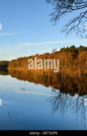 Magnifique paysage pittoresque (arbres boisés, couleurs vives de l'automne et ciel bleu reflétés sur l'eau encore calme) - Fewston Reservoir, Yorkshire, Angleterre, Royaume-Uni Banque D'Images