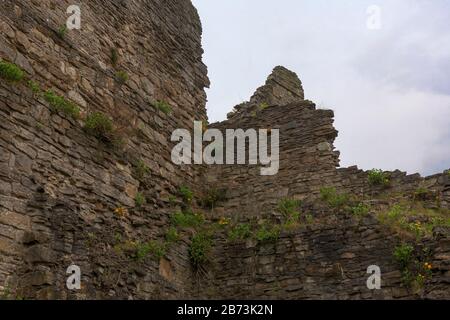 Robin Hood Tower Du Cockpit Garden, Richmond Castle, North Yorkshire, Angleterre, Royaume-Uni Banque D'Images