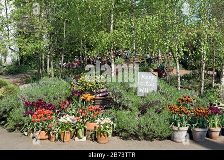 Dalston Eastern Curve Garden, un jardin urbain communautaire avec tulipes dans des pots En Terre Cuite et un panneau disant Garder les villes Wild, Londres Borough de Hackney. Banque D'Images