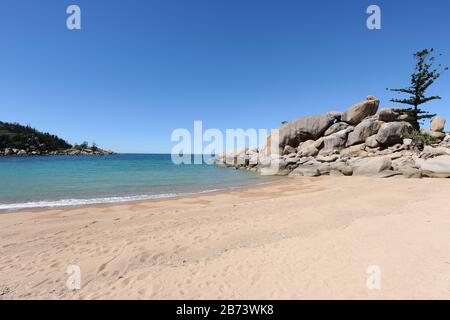 Scène de plage avec rochers de granit et pinède de Hoop, Arthur Bay, Magnetic Island, Queensland, Australie Banque D'Images