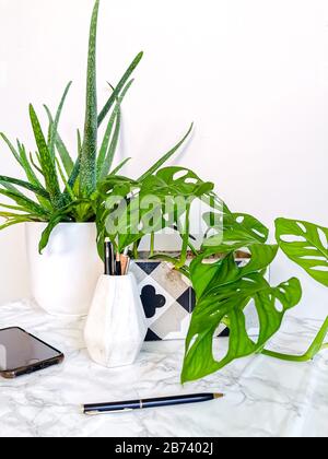 Bureau de travail blanc propre avec de nombreuses plantes vertes pour un environnement de travail relaxant sans stress Banque D'Images