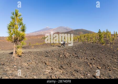Marcher sur une route entre la montagne de Samara et Teide dans le parc national, Las Canadas del teide, Tenerife, îles Canaries, Espagne Banque D'Images