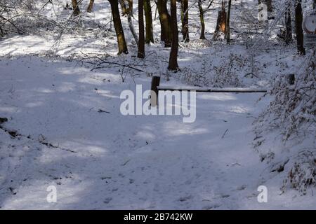 Neige sur l'Eifel près de Maria Laach Banque D'Images