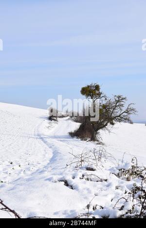 Neige sur l'Eifel près de Maria Laach Banque D'Images