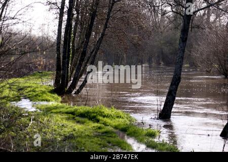 12 mars 2020. Rivière Canche près de Montreuil sur Mer, pas de Calais, France. Après des mois record de pluies, la rivière Canche près de Montreuil sur M Banque D'Images