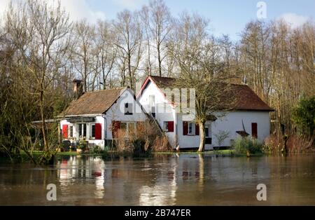 12 mars 2020. Rivière Canche près de Montreuil sur Mer, pas de Calais, France. Après des mois record de pluies, la rivière Canche près de Montreuil sur M Banque D'Images