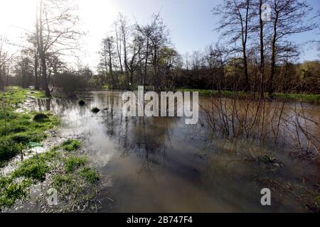 12 mars 2020. Rivière Canche près de Montreuil sur Mer, pas de Calais, France. Après des mois record de pluies, la rivière Canche près de Montreuil sur M Banque D'Images