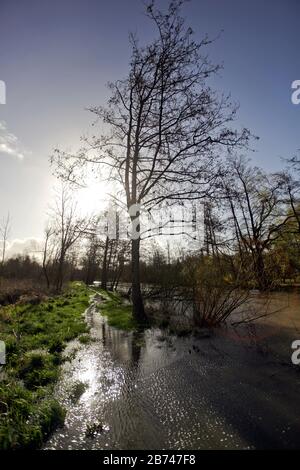 12 mars 2020. Rivière Canche près de Montreuil sur Mer, pas de Calais, France. Après des mois record de pluies, la rivière Canche près de Montreuil sur M Banque D'Images