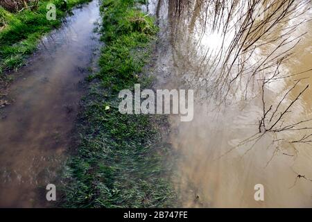 12 mars 2020. Rivière Canche près de Montreuil sur Mer, pas de Calais, France. Après des mois record de pluies, la rivière Canche près de Montreuil sur M Banque D'Images