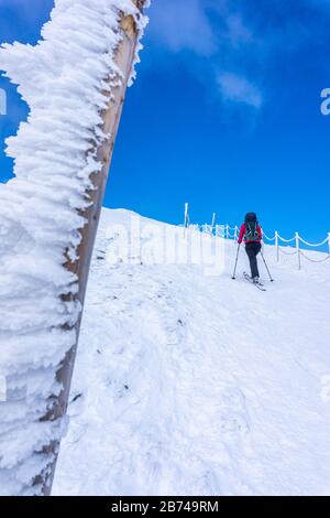 Ski de fond. Sentier de randonnée clôturé à la montagne, une journée ensoleillée en hiver, les montagnes géantes. Le tourisme est à la montagne. Banque D'Images