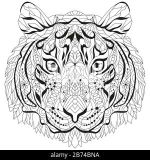 tigre dessiné à la main pour coloriage antistress adulte 3123745