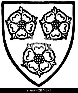 Cosington portait trois roses d'or Azur, dessin de ligne vintage ou illustration de gravure. Illustration de Vecteur