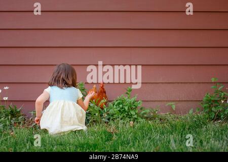 Une petite fille s'assoit dans un jardin en été pour atteindre un poulet rouge Banque D'Images