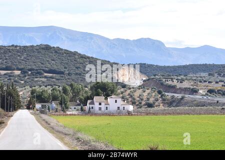 Aube dans les champs d'Andalousie, avec olive, céréales, amande et ferme Banque D'Images