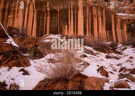 Capitol gorge dans le parc national Capitol Reef, dans le sud de l'Utah, aux États-Unis Banque D'Images