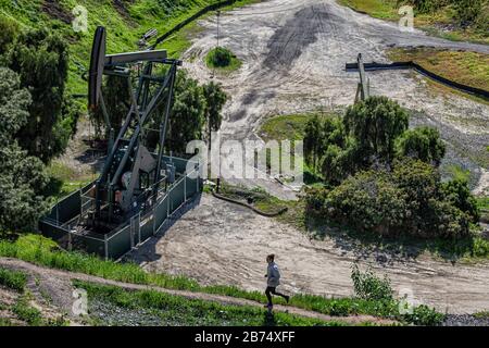 Puits d'huile et citrouilles dans la ville de signal Hill. Autrefois une zone de production massive de pétrole, les puits de pétrole sont encore mélangés dans ses quartiers résidentiels. Banque D'Images