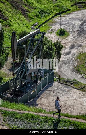 Puits d'huile et citrouilles dans la ville de signal Hill. Autrefois une zone de production massive de pétrole, les puits de pétrole sont encore mélangés dans ses quartiers résidentiels. Banque D'Images