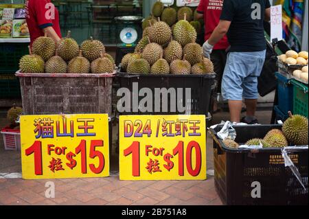 24.02.2019, Singapour, République de Singapour, Asie - un stand pour le durian frais dans un marché de rue à Chinatown. [traduction automatique] Banque D'Images