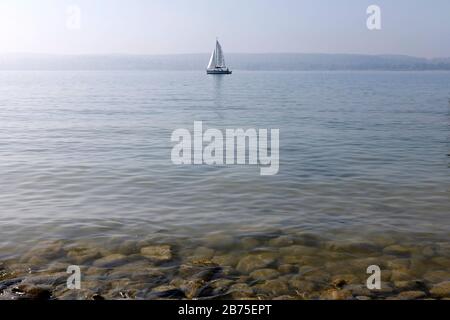 Eaux claires du Rhin sur la rive du lac de Constance, le 17.09.2018. En arrière-plan, vous pouvez voir un bateau à voile. [traduction automatique] Banque D'Images