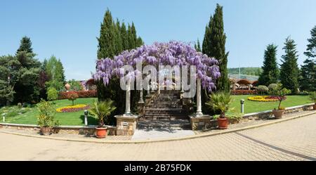 Arqué constructionr couvert avec des fleurs de wisteria pourpre lilas colorées au-dessus d'une allée d'escalier menant à une maison Banque D'Images