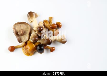 Concept végétarien et nourriture saine. Variété de champignons marinés isolés sur fond blanc. Vue de dessus, espace de copie. Banque D'Images