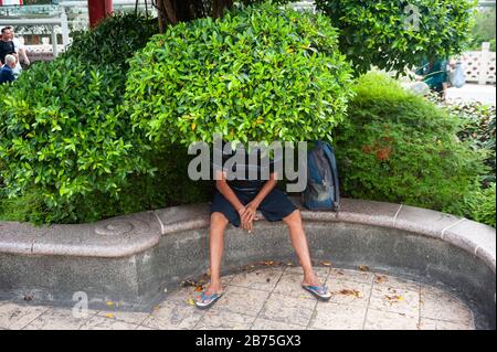 08.04.2018, Singapour, République de Singapour, Asie - un homme est assis sous un arbre dans le jardin du complexe People's Park dans le quartier chinois de Singapour. [traduction automatique] Banque D'Images