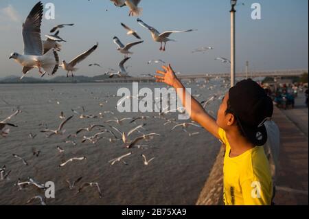 31.01.2017, Mawlamydine, République de l'Union du Myanmar, Asie - les adolescents se nourrissent sur le front de mer de Mawlamydine Moewen. [traduction automatique] Banque D'Images