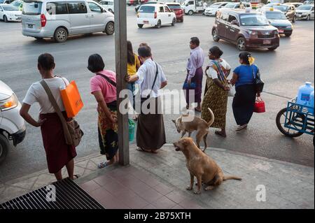 26.01.2017, Yangon, région de Yangon, République de l'Union du Myanmar, Asie - les piétons attendent à Strand Road pour traverser la route. [traduction automatique] Banque D'Images