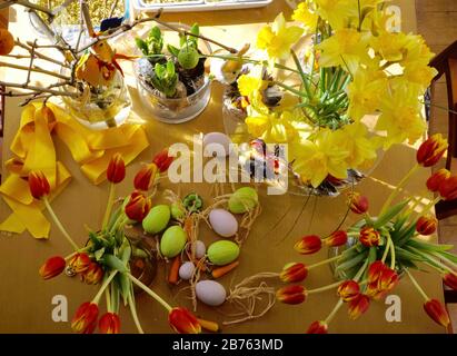 Les lapins de Pâques, les tulipes, les œufs de Pâques colorés se trouvent sur une table le 19.03.2016 sur laquelle ils sont décorés. [traduction automatique] Banque D'Images