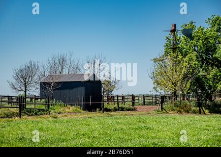 Grange en métal et moulin à vent rouillé entouré d'arbres, avec un champ vert et un ciel bleu Banque D'Images