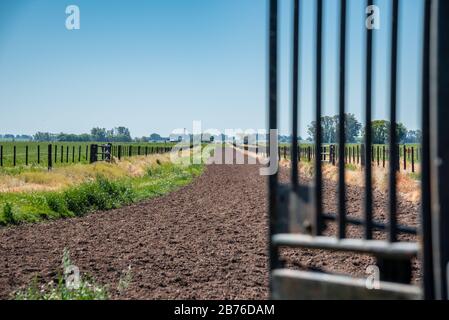 Une porte verte et rouillée de départ des courses de chevaux avec l'accent sur la piste d'entraînement et l'horizon avec un ciel bleu Banque D'Images