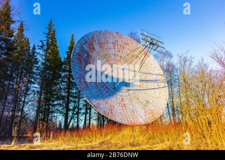 grande antenne radioastronomique dans le signal de diffusion forestière Banque D'Images