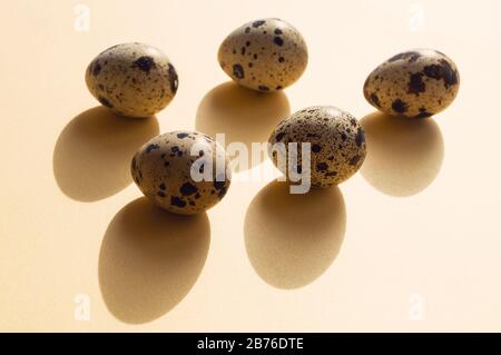 Cinq œufs de caille avec des ombres sur le fond jaune. Composition conceptuelle minimaliste pour les vacances de Pâques. Banque D'Images