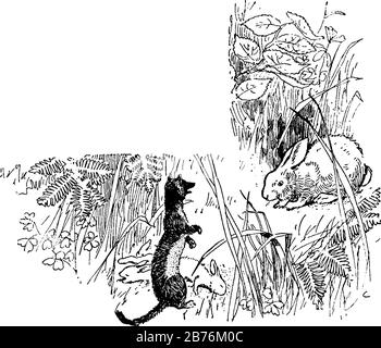 Weasel avec un lapin dans ce cadre, dessin vintage de ligne ou illustration de gravure. Illustration de Vecteur