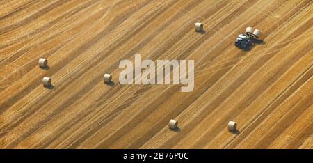 , balles de paille sur un champ de maïs récolté, 29.08.2008, vue aérienne, Allemagne, Rhénanie-du-Nord-Westphalie, région de la Ruhr, Hamm Banque D'Images