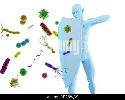 Système immunitaire, illustration conceptuelle de l'ordinateur. Banque D'Images