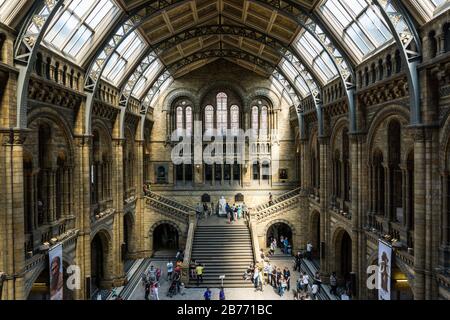 Visiteurs au Natural History Museum, South Kensington, Londres, Angleterre. Banque D'Images