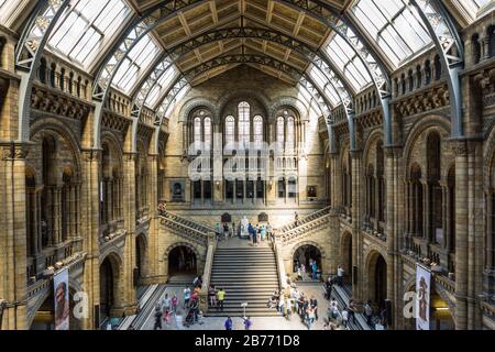 Visiteurs au Natural History Museum, South Kensington, Londres, Angleterre. Banque D'Images