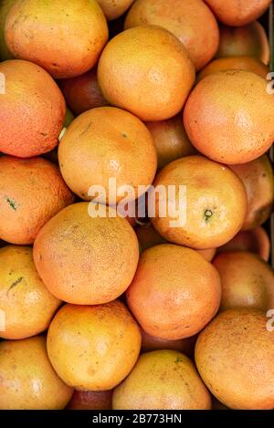 Dose fermée d'oranges fraîches empilées prêtes à manger Banque D'Images
