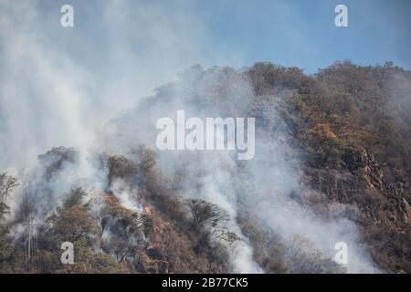 Fumée émergeant d'une forêt brûlante au lac Atitlan, au Guatemala Banque D'Images