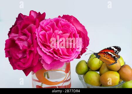 gros plan de roses rouges dans un verre et papillon sur jujuba ( zizyphus ) fruits dans un pot sur fond blanc. Banque D'Images